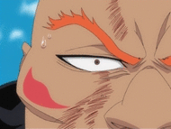 http://images3.wikia.nocookie.net/__cb20110812150157/bleach/en/images/0/06/Tsuppane.gif
