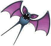 ZUBAT