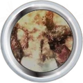 Badge-1613-5.png