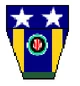BSI-crest