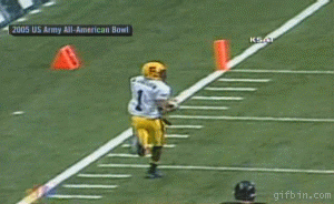 Touchdownfail.gif
