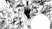 Fire Salamanders