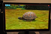 Turtle2