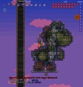 Yoshi