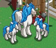 Blue Mane Gypsy Horse & Foals