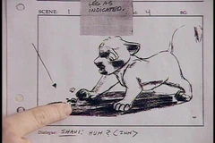 Shanistoryboard
