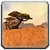 Icon Barrens 01