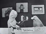 Wilkins-Camera
