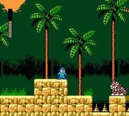 Napalm man