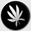 Every herb bearing seed.jpeg