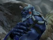 Kimahri closeup
