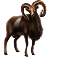 Huge item ariesram 01.png