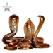 Item quiverofcobras silver 01.png