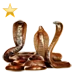 Item quiverofcobras gold 01
