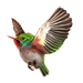 Item cubantody 01