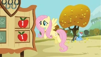 Rainbow Dash sits under an apple tree S1E13