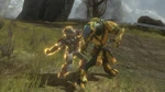Reach 22911638 Full