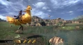 FangRidingChocobo.jpg