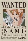 Wanted de Nami