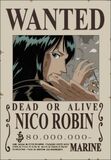 Wanted de Robin