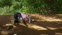 5x10 Dee falls
