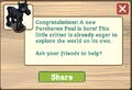 Percheron foal message