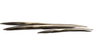 PorcupineQuills.png