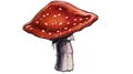 LeapingToadstool.png