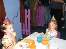 Parties 028