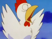 Chicken