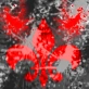YourOwnShadow