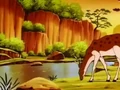Deer