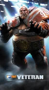 SMNC Veteran Poster