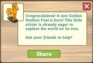 Golden stallion foal