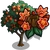 African Tulip Tree-icon