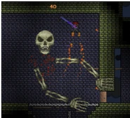 Skeletron battle