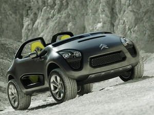 C -Buggy1