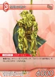 ImitationLiegeman TCG.png