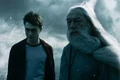 Harry-and-dumbledore.jpg