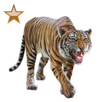Huge item malayantiger bronze 01.png
