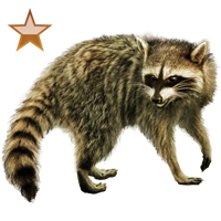 Huge item raccoon bronze 01.png