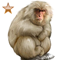 Huge item snowmonkey bronze 01.png