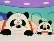 FatherPanda&Son