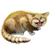 Item sandcat 01.png