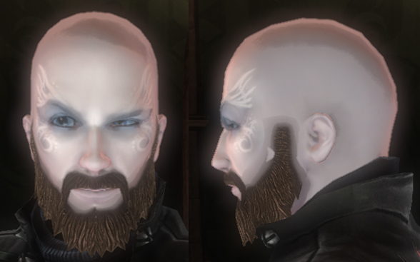 fable 3 beards
