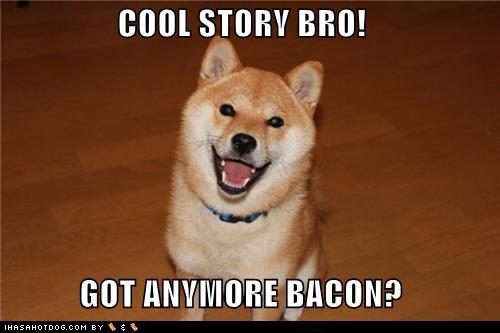 Funny-dog-pictures-cool-story-bro-got-anymore-bacon.jpg