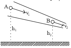 Legea Bernoulli 2