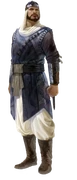 Vizier