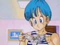 Bulmabearpanties