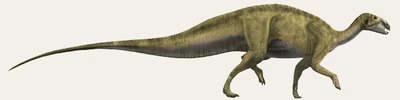 Rhabdodon